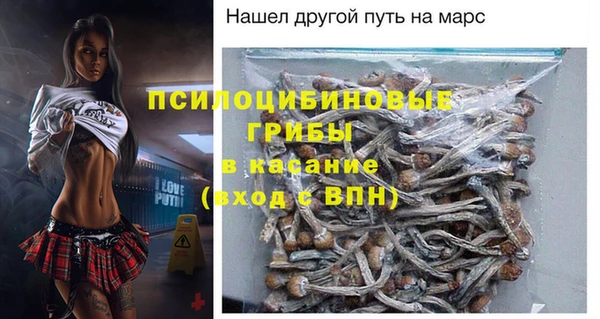 a pvp Алзамай
