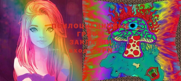 ПСИЛОЦИБИНОВЫЕ ГРИБЫ Алексеевка