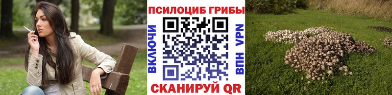 Галлюциногенные грибы мухоморы  KRAKEN как зайти  Жуковский 
