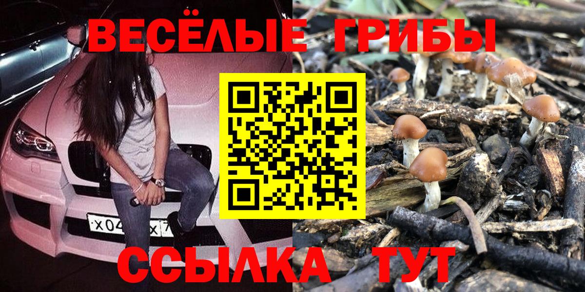Галлюциногенные грибы Psilocybine cubensis  Вход с VPN  Жуковский 