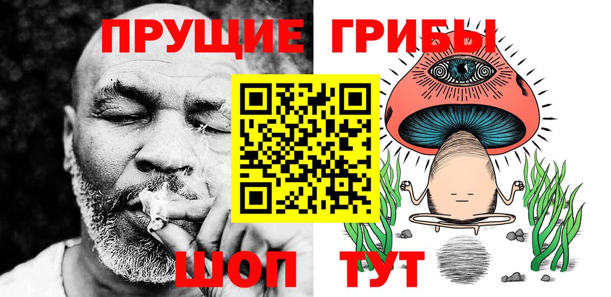 Галлюциногенные грибы Psilocybine cubensis Жуковский